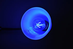 Modvera LED Color RGB Light Bulb A19 3 Watt E26 Base 15,000 Hour Lifespan Clear Glass