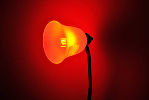 Modvera LED Color RGB Light Bulb A19 3 Watt E26 Base 15,000 Hour Lifespan Clear Glass
